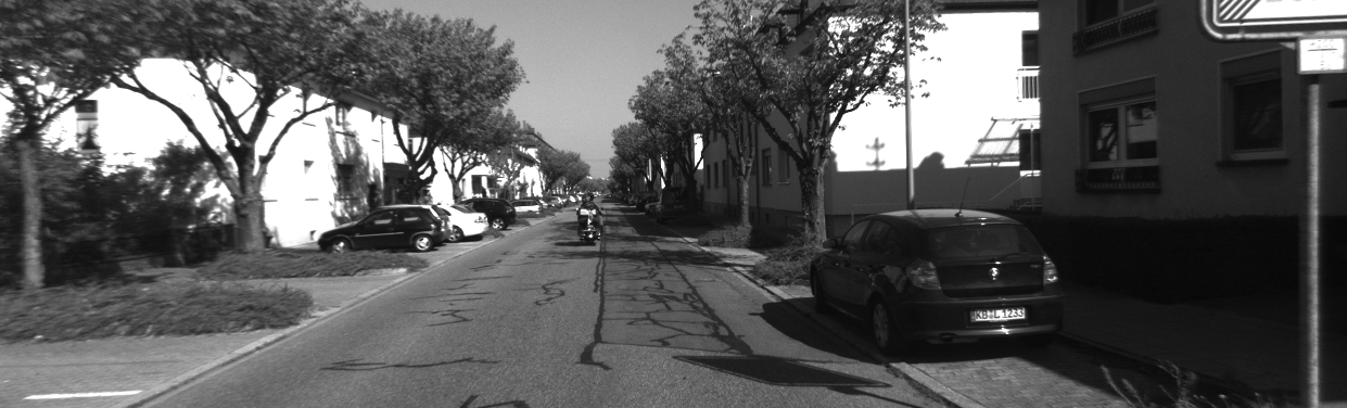 black and white image of a tree-lined street from a car's perspective